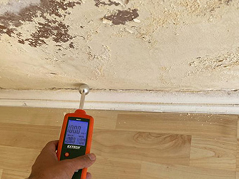 Moisture Meter Leak Detection