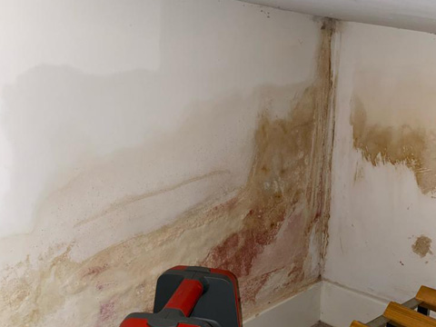 Rising Damp Leak